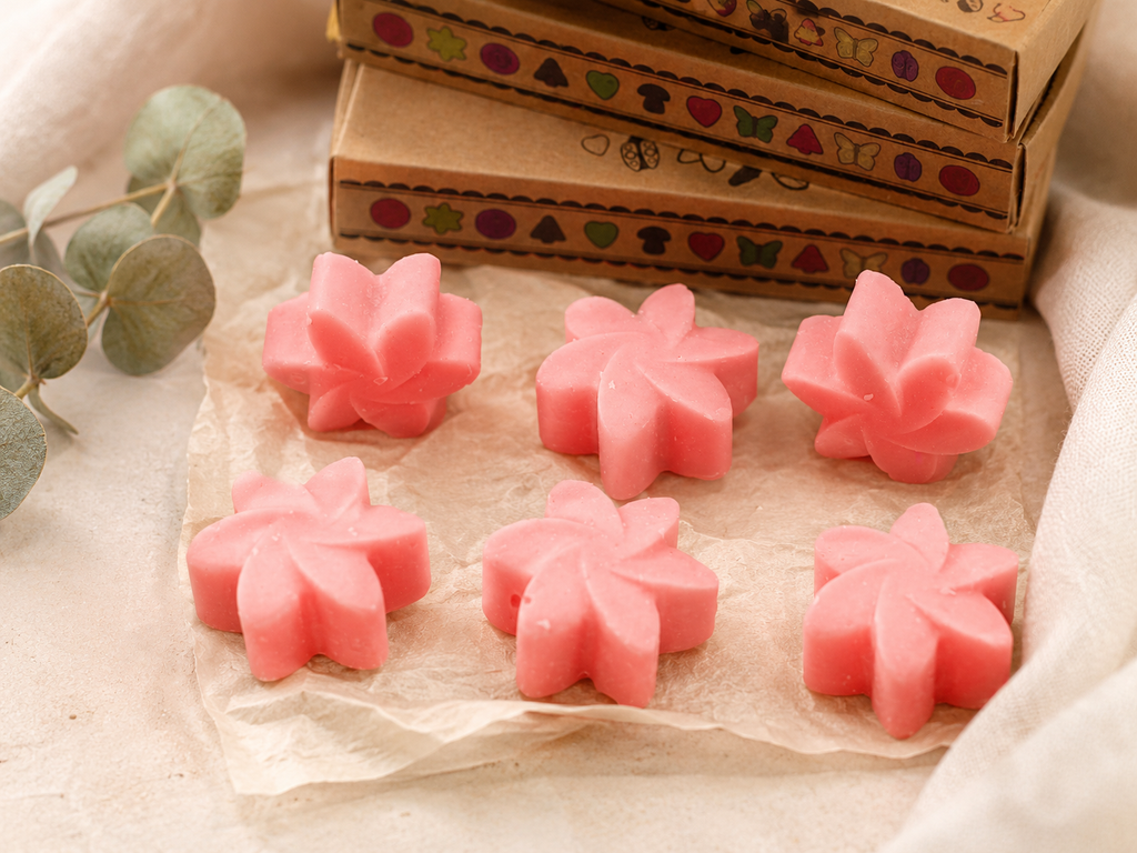 Box of 6 Wax Melts -  Japanese Magnolia