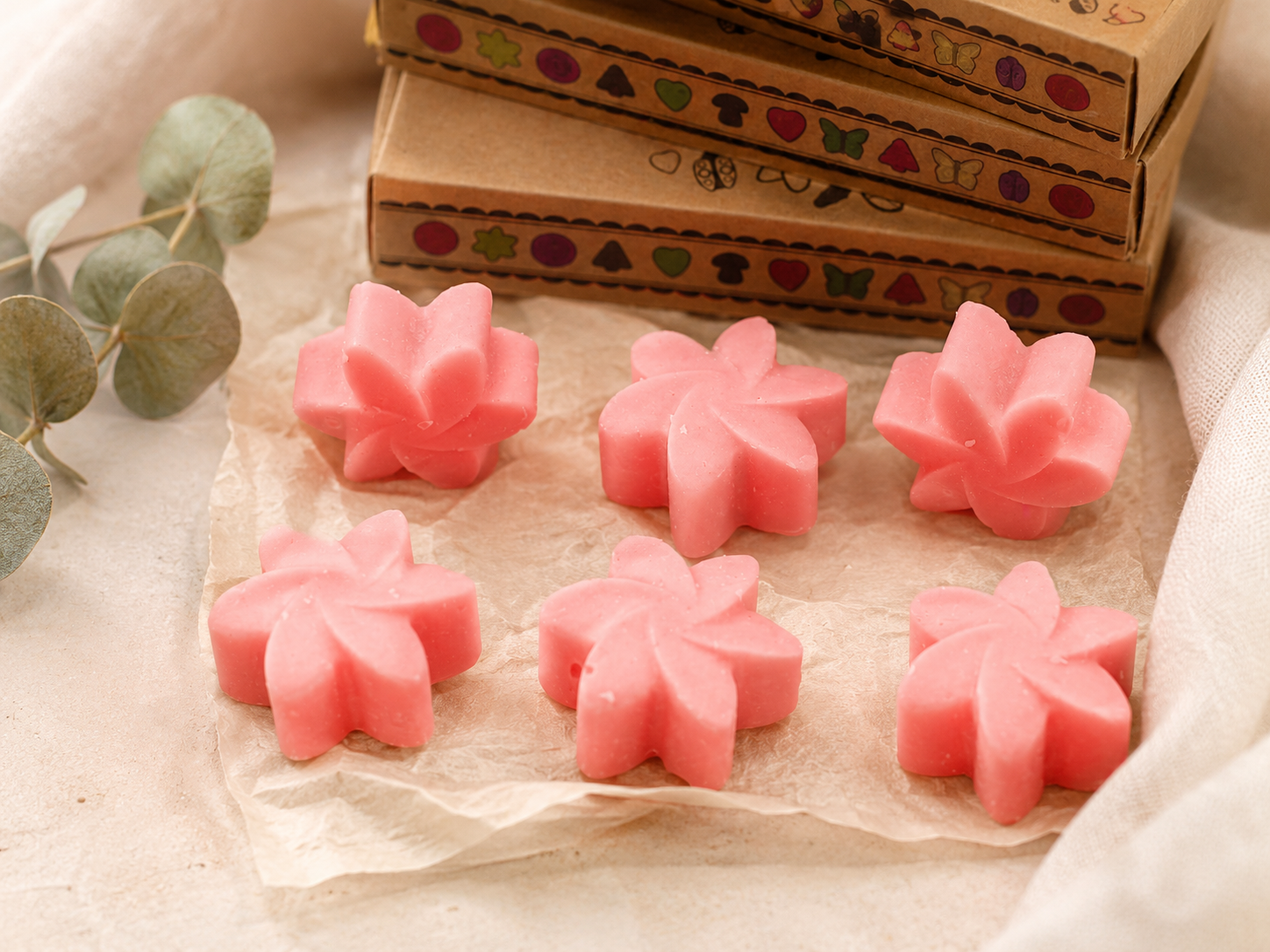 Box of 6 Wax Melts -  Japanese Magnolia