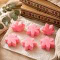 Box of 6 Wax Melts - Classic Rose