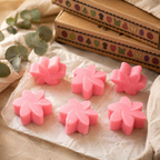 Box of 6 Wax Melts - Classic Rose