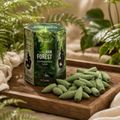 Rain Forest Masala Backflow Incense Cones - Pack of 10