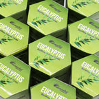 Eucalyptus Masala Backflow Incense Cones - Pack of 10