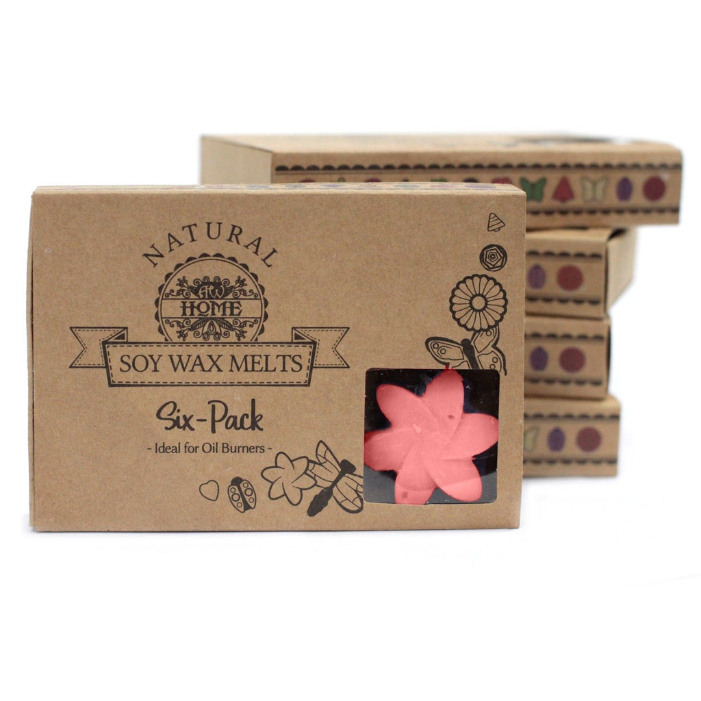 Box of 6 Wax Melts -  Japanese Magnolia