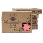 Box of 6 Wax Melts -  Japanese Magnolia