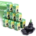 Aloe Vera Masala Backflow Incense Cones - Pack of 10