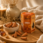 Backflow Scent Discovery Set